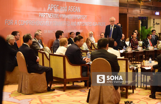 [ẢNH] Các trưởng đoàn kinh tế dự Đối thoại không chính thức APEC-ASEAN - Ảnh 7.