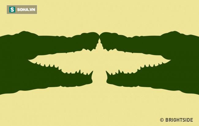 Bạn thấy cá sấu hay con chim? Hãy chọn để xem mình có phải nhà lãnh đạo bẩm sinh hay không - Ảnh 3.