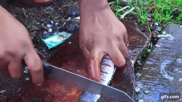 Độc đáo món cá nướng bằng thân chuối không đụng hàng và đậm chất dân dã! - Ảnh 3.