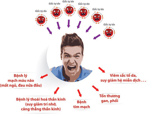 Gan là nhà máy xử lý độc tố của cơ thể: Thực hiện 5 bí quyết để cả đời gan không bị bệnh - Ảnh 2.