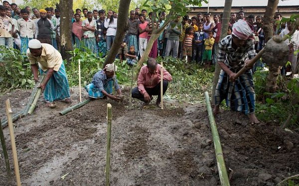 Bò thiêng không cánh mà bay, 2 thanh niên Hồi giáo bị quây đánh đến chết - Ảnh 4.