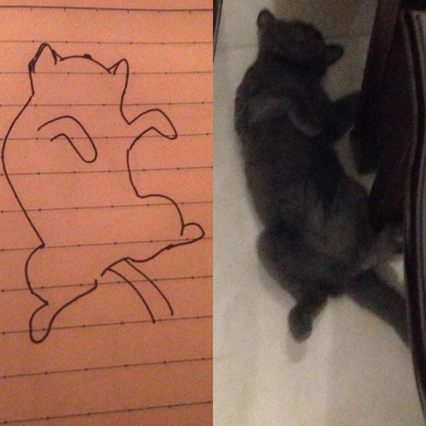 Bức tranh vẽ mèo kỳ lạ, ai cũng giật mình khi so sánh với hình ảnh thực tế - Ảnh 7.