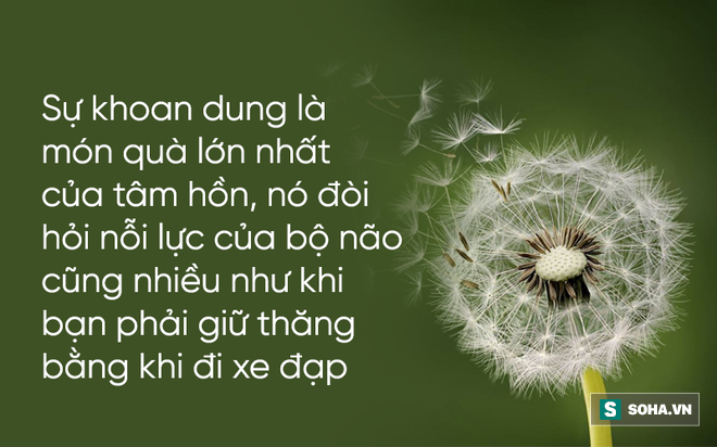 10 thứ này, chỉ cần buông bỏ sẽ được nhiều hơn mất: Hãy xem bạn đã bỏ được thứ gì! - Ảnh 4.