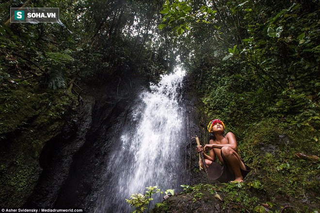 Hé lộ những bí ẩn của nghề pháp sư trong rừng rậm Amazon - Ảnh 1.
