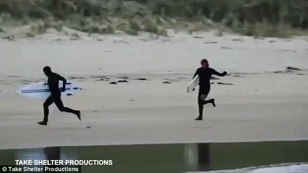 Clip: Bị hải cẩu rượt đuổi, hai người đàn ông chạy té khói - Ảnh 4.
