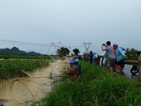 Video: Sau mưa lớn người dân Thanh Hóa kéo nhau đi bắt cá ven đường Hồ Chí Minh - Ảnh 2.