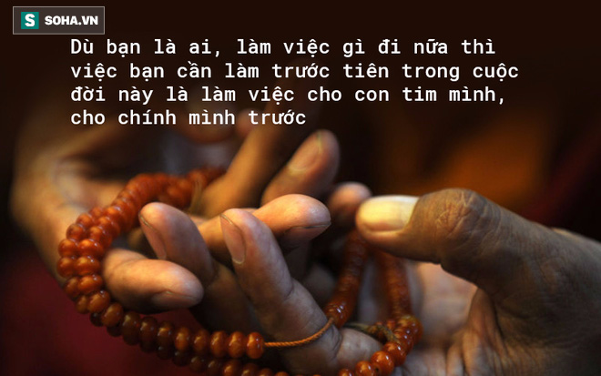 Đức Phật: Ai cũng có một con bò! Điều gì Tần Thủy Hoàng, Thành Cát Tư Hãn tìm cả đời không thấy? - Ảnh 5.