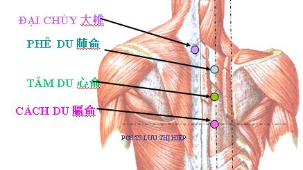 Làm việc đơn giản này trong khoảng 9h-11h sáng: Bổ huyết, dưỡng gan, tốt cho tim - Ảnh 5.