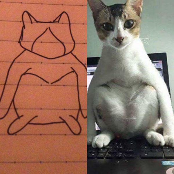 Bức tranh vẽ mèo kỳ lạ, ai cũng giật mình khi so sánh với hình ảnh thực tế - Ảnh 10.