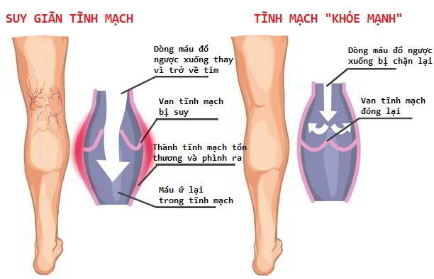 Đông y: Làm việc này với đôi bàn chân, sống trăm tuổi không hề là ảo vọng - Ảnh 8.