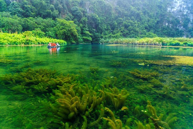 Cận cảnh vẻ đẹp ngoài đời thực của làng thổ dân Iwi tại Việt Nam trong Kong: Đảo đầu lâu - Ảnh 7.