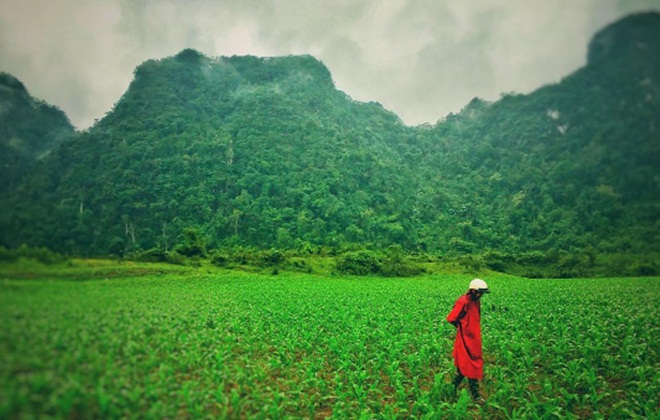 Báo nước ngoài lý giải tại sao Việt Nam là nơi hoàn hảo để quay Kong: Đảo đầu lâu - Ảnh 8.