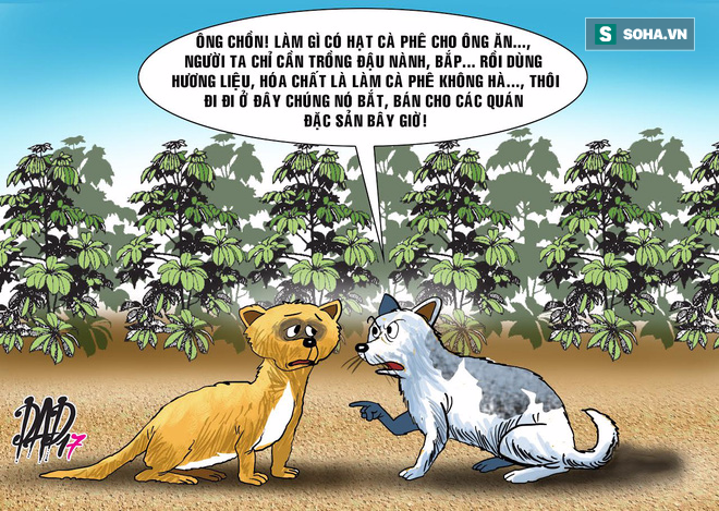 HÍ HỌA: Ông chồn, làm gì có hạt cà phê cho ông ăn! - Ảnh 3.