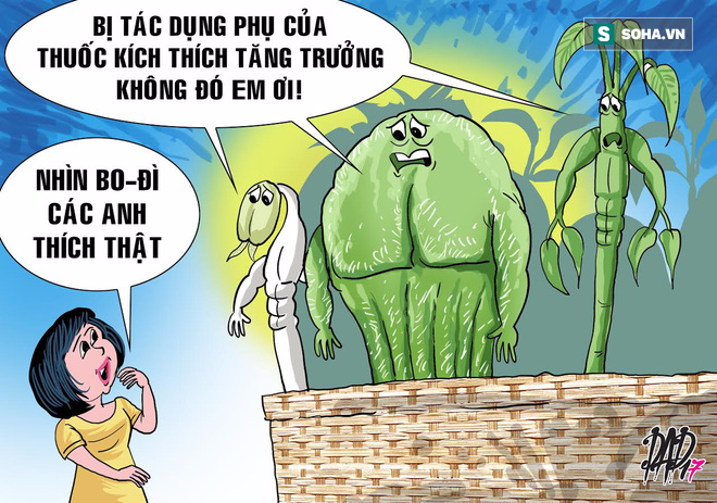 HÍ HỌA: Ông chồn, làm gì có hạt cà phê cho ông ăn! - Ảnh 2.