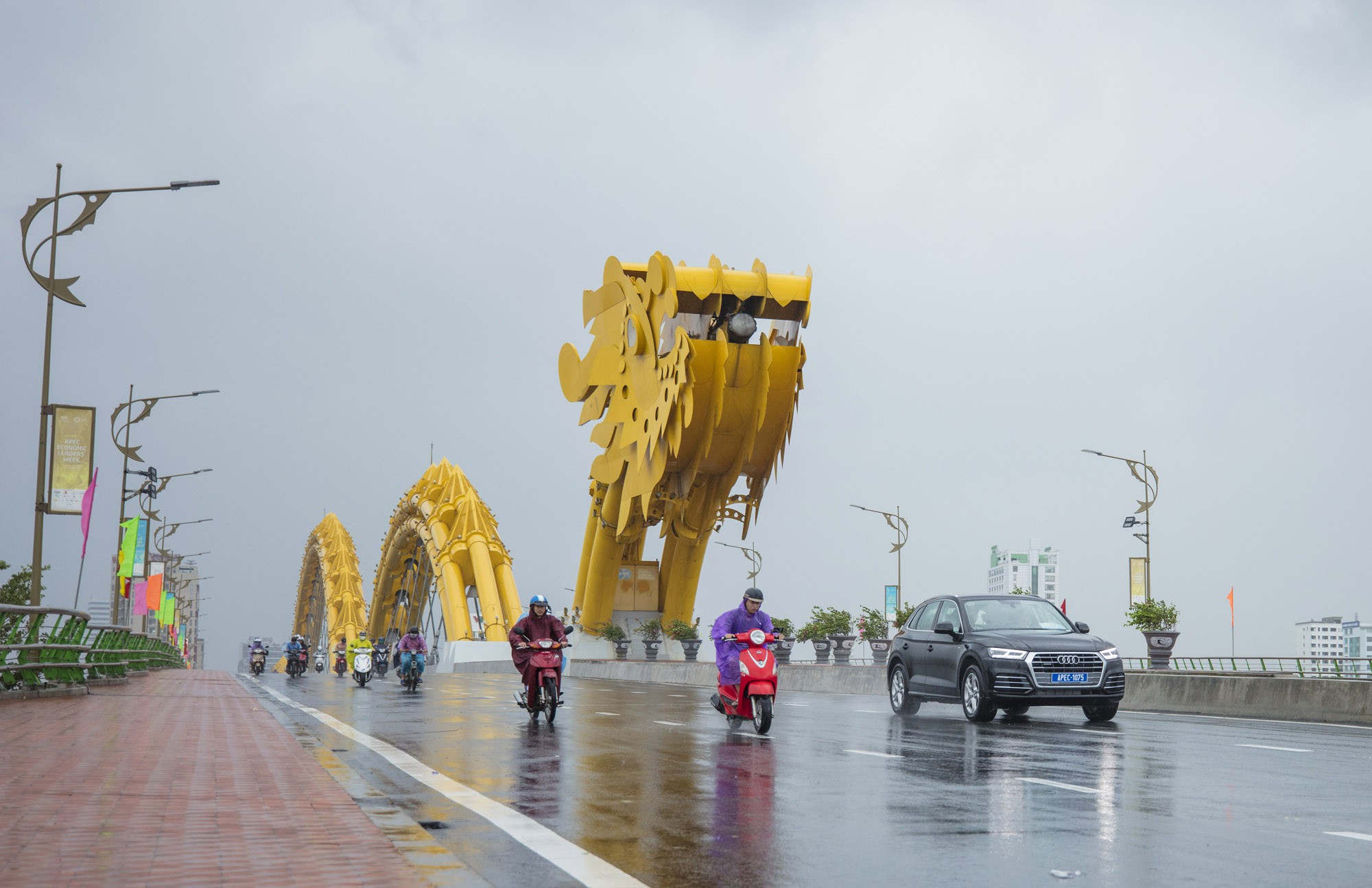 [PHOTO ESSAY] Toàn cảnh Đà Nẵng chạy đua với bão chuẩn bị cho khai mạc APEC - Ảnh 29.