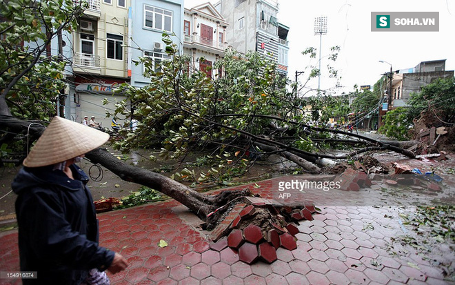 Sự nguy hiểm khôn lường của những cơn bão cuối năm đổ bộ vào Việt Nam - Ảnh 2.