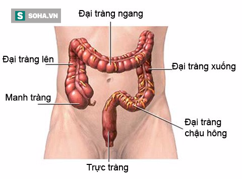 TS Nguyễn Thị Minh Thái: Người ngoài nghe ung thư đã sợ, tôi nhờ bí quyết này để vượt qua - Ảnh 1.