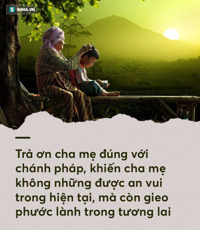 Bắc Đại Bàng kính mẹ tuyệt đối, Đoàn Dự bố là đại ác nhân - có hiếu hay không? - Ảnh 3.