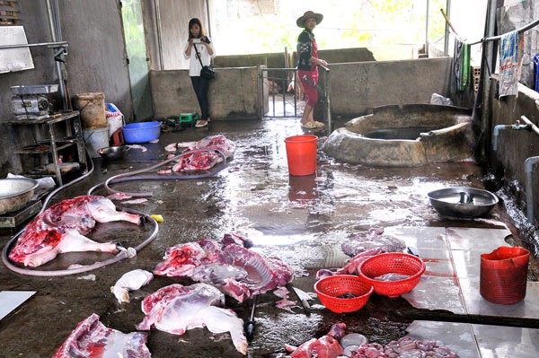 Rau sống tưới nước thải tím ngắt, thịt lợn vào báo cáo của World Bank - Ảnh 4.