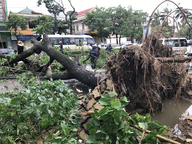 Nghệ An: Tan hoang sau bão, cây xanh bật gốc đè ô tô, người dân chặt cây tìm đường vào nhà - Ảnh 3.