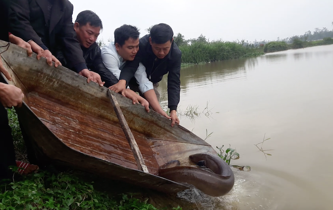 Người dân góp tiền mua cá chình khủng dài cả mét để phóng sinh - Ảnh 6.