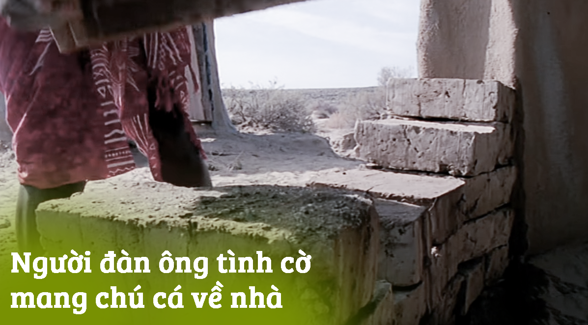 Loài cá dị thường nhất hành tinh: Sẽ chết đuối nếu ở dưới nước quá lâu! - Ảnh 6. Loài cá dị thường nhất hành tinh: Sẽ chết đuối nếu ở dưới nước quá lâu! - Ảnh 6.