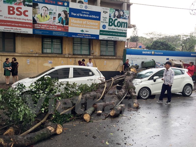 VIDEO: Mưa, lốc, cây đổ đè bẹp ô tô trên phố Hà Nội - Ảnh 2.