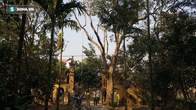 Hình ảnh chặt hạ cây sưa 200 năm tuổi giá 26 tỷ đồng ở Bắc Ninh - Ảnh 1.
