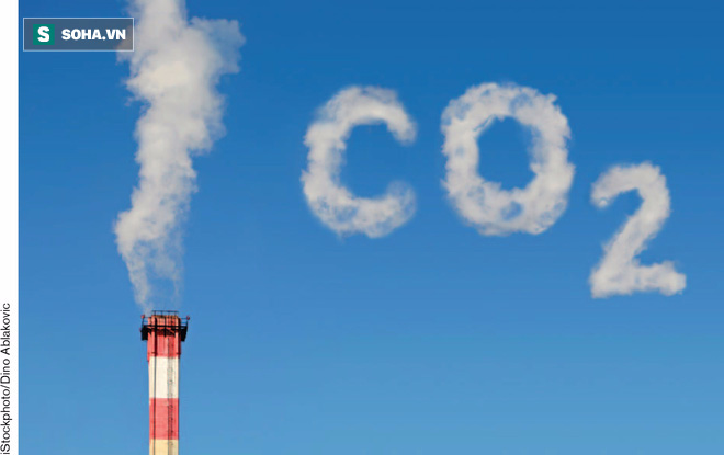 CO2 phát thải ồ ạt ra không khí, trồng cây không còn là giải pháp vàng cứu Trái Đất - Ảnh 1.