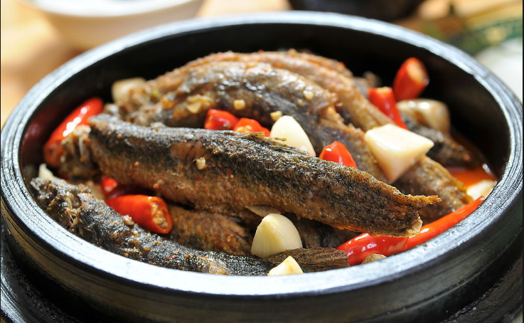 Đông y gọi loài cá này là nhân sâm nước: Bổ thận tráng dương, dinh dưỡng toàn diện - Ảnh 4. Đông y gọi loài cá này là nhân sâm nước: Bổ thận tráng dương, dinh dưỡng toàn diện - Ảnh 4.