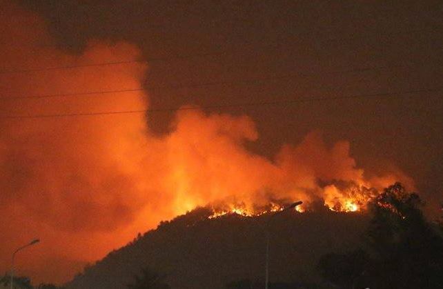 Có người ngạt khói trong đám cháy đỏ rực trời ở Sóc Sơn, 500 người dập lửa - Ảnh 1.