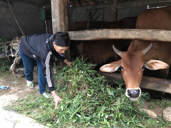 Cô giáo mầm non nhận lương hưu 1,3 triệu tự thưởng cho mình bộ quần áo thể thao nhân 20/11 - Ảnh 4.