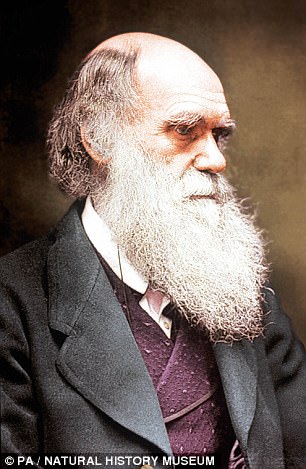 Tìm thấy loài thú ẩn dật trong kỷ băng hà khiến Charles Darwin bối rối giải mã - Ảnh 4.