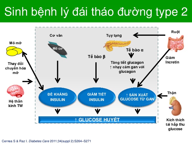 Điểm mặt những nguy cơ khiến người Việt mắc tiểu đường ngày càng nhiều - Ảnh 1.