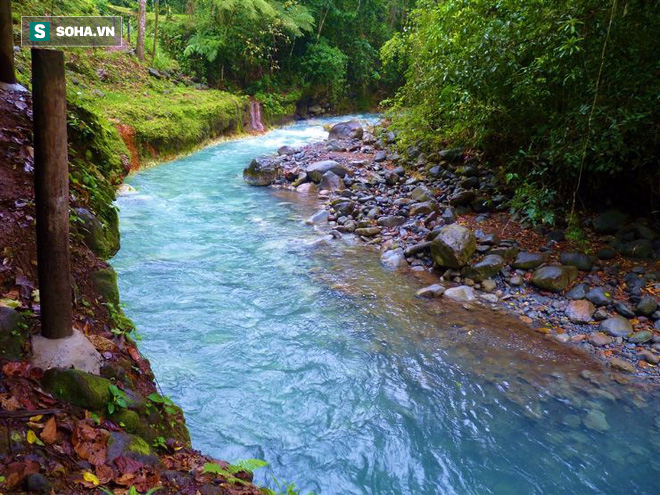 Bí ẩn độc nhất vô nhị của con sông ở Trung Mỹ cuối cùng đã được giải mã - Ảnh 1.