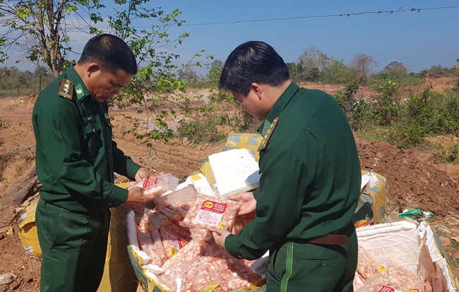 Gân gà thối từ Lào, đeo vòng cho lợn, và vườn rau sân thượng của anh bếp trưởng - Ảnh 2.