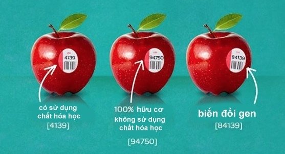 Nếu chán sống hãy nghe lời y tá Mỹ; ai chán đời mới ăn sụn gà theo cách này! - Ảnh 5.