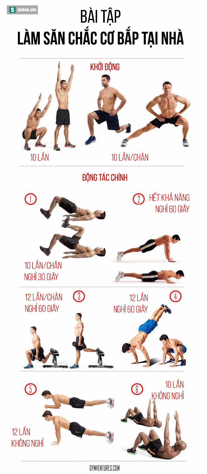 Muốn cải thiện cơ bắp săn chắc mà không thể đến phòng Gym: Đây là bài tập tối ưu cho bạn! - Ảnh 1.