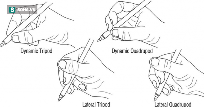Một nhà lãnh đạo bẩm sinh thường dùng 2 ngón tay chủ yếu này để cầm bút, bạn thì sao? - Ảnh 1.