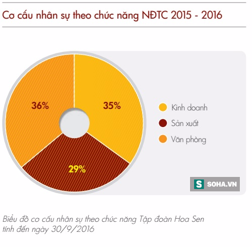 Làm việc tại Tập đoàn Hoa Sen của đại gia Lê Phước Vũ nhận được lương bao nhiêu? - Ảnh 1.