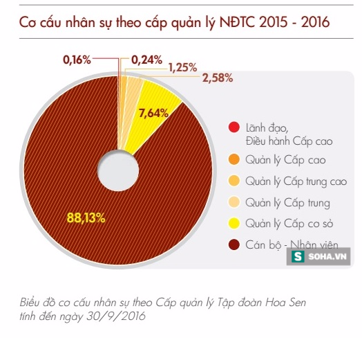 Làm việc tại Tập đoàn Hoa Sen của đại gia Lê Phước Vũ nhận được lương bao nhiêu? - Ảnh 3.