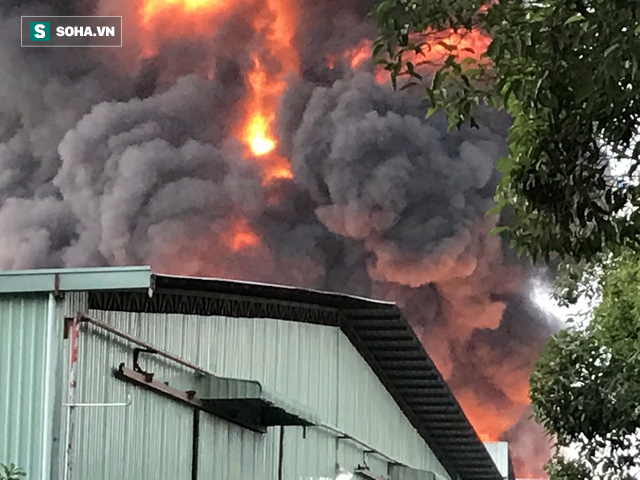 Cháy lớn tại khu nhà xưởng ở Sài Gòn - Ảnh 1.