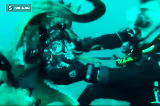 Phát hiện bị quay lén, bạch tuộc khổng lồ nổi giận tấn công máy quay của thợ lặn - Ảnh 1.