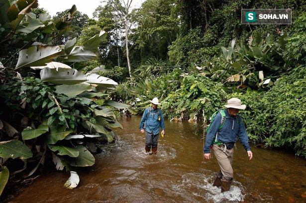 Các nhà khoa học đặt chân vào thành phố của thần Khỉ: Cái chết rình rập - Ảnh 1.