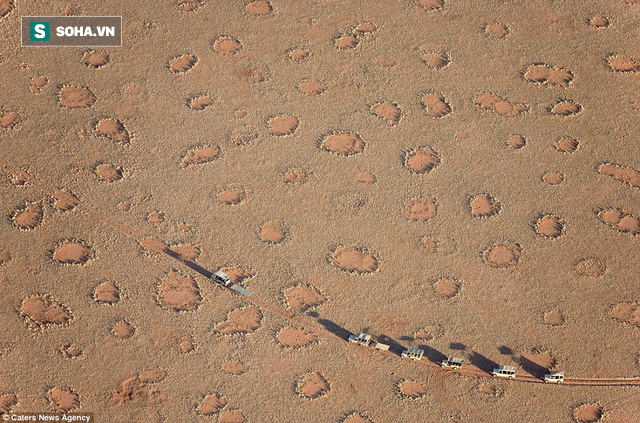 Giải mã bí ẩn những vòng tròn kỳ lạ trên sa mạc ở châu Phi - Ảnh 1.