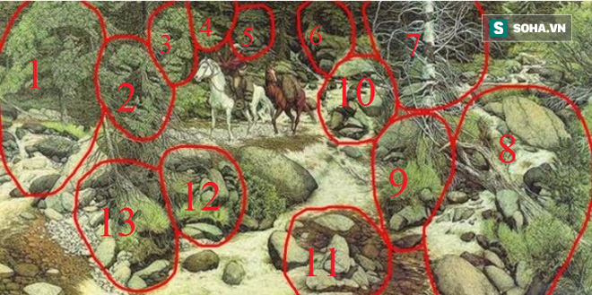 Có 13 khuôn mặt ẩn trong bức tranh này nhưng chỉ 2% người cực tinh mắt mới có thể tìm ra  - Ảnh 2.