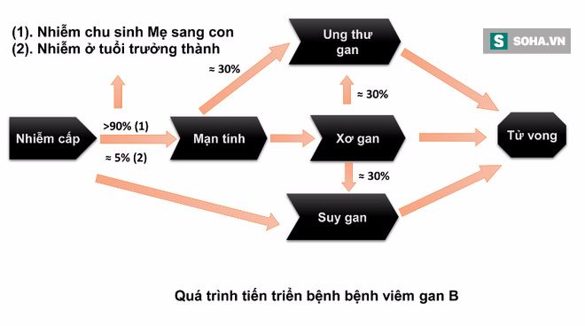 Căn bệnh dẫn đến xơ gan và ung thư gan: Rất nguy hiểm vì nhiều người mắc mà không biết - Ảnh 1.