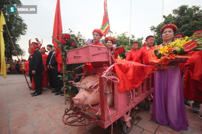 Hội chém lợn gây tranh cãi ở Bắc Ninh năm nay chỉ còn là cứa lợn - Ảnh 3.