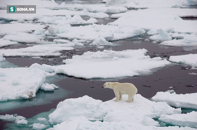 Đầu tư 500 tỷ USD, các nhà khoa học hy vọng có thể cứu rỗi thảm họa băng tan ở Bắc Cực - Ảnh 1.
