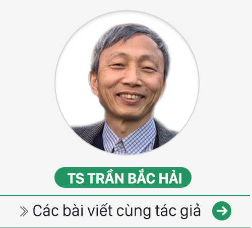 Nước Úc sẽ rất choáng váng nếu có 3 tài xế taxi bị bắt vì tè bậy như ở VN - Ảnh 1.